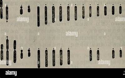 医院治疗狐臭挂哪个科