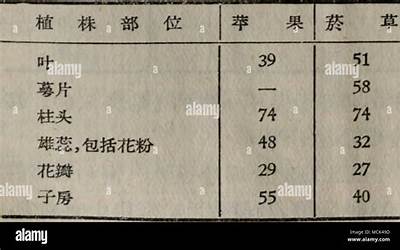 东北菜名字大全（东北菜名字大全图片）