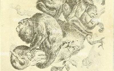 各地美食小吃大全（各地美食小吃大全 排行榜）