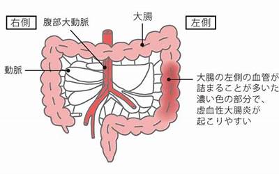 想象作文600字免费（想象作文600字免费阅读）