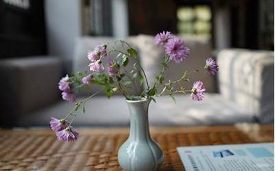 河南传统乐器（河南传统乐器有哪些）