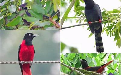 男生其实已经暗示了喜欢你怎么回复（男生其实已经暗示了喜欢你怎么回复他）