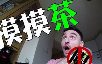 介绍一种美食200字左右粽子(介绍一种美食200字左右粽子作文)