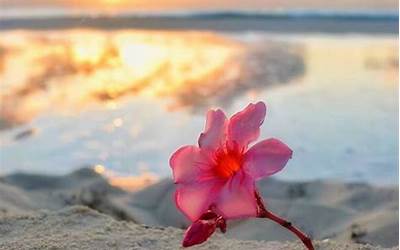 小孩咳嗽出汗咳嗽的厉害是什么原因(小孩咳嗽出汗咳嗽的厉害是什么原因,吃什么药)