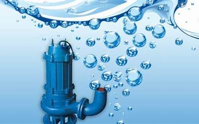 东北名菜有哪些排骨酸菜(东北名菜有哪些排骨酸菜的做法)