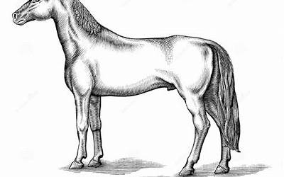 神话白蛇传中白娘子盗仙草中的仙草是（神话白蛇传中白娘子盗仙草中的仙草是什么）