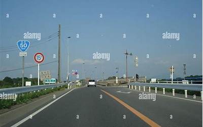 去拜拜买什么水果合适(去拜拜买什么水果合适买几个)