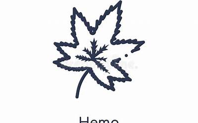 白菜豆腐包子馅的做法窍门（白菜豆腐包子馅的做法窍门视频）