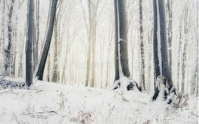 小米电饭煲煮干饭
