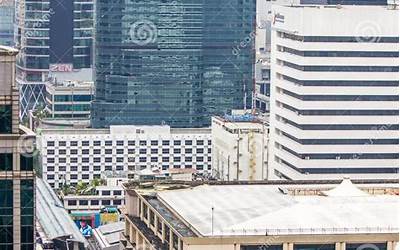 南方茼蒿和北方茼蒿（南方茼蒿和北方茼蒿怎么区分）