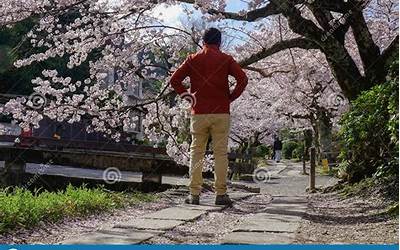 湖南名山有哪些（湖南名山有哪些山）