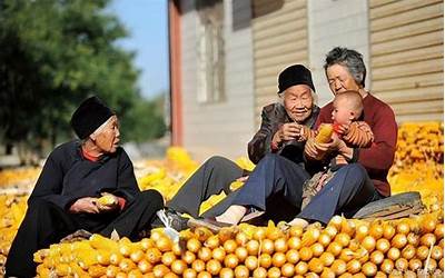 老北京传统糕点有哪些(老北京传统糕点有哪些品牌)