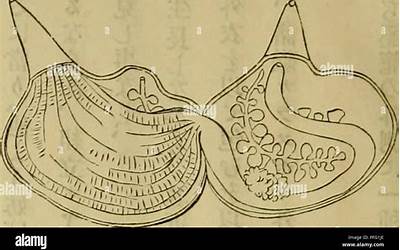 小时候1毛钱的零食（小时候1毛钱的零食图片）