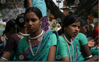 玉米秸秆发酵技术（玉米秸秆发酵技术视频）