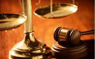 春节大扫除日记200字（春节大扫除日记200字左右）