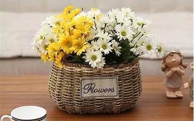 潮汕零食特产大全图片(潮汕零食特产大全图片高清)