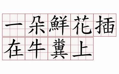 淡奶油做电饭煲蛋糕可以不（淡奶油做电饭煲蛋糕可以不放糖吗）