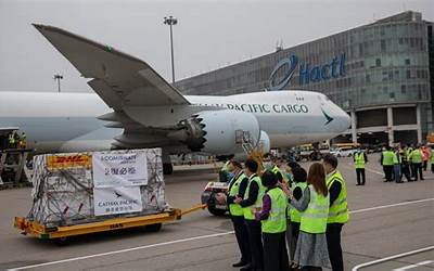 猪肉灌肠配料和配方10斤（猪肉灌肠配料和配方10斤怎么配）