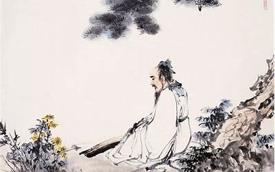 干锅白菜做法大全集（干锅白菜做法大全集视频）