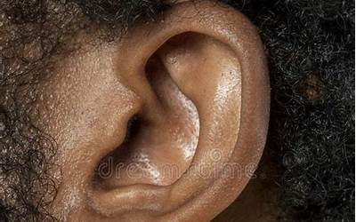 二次元人物桶动漫人物免费图片(二次元人物桶二次元人物免费网站)