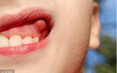 砂锅白菜豆腐的做法家常视频