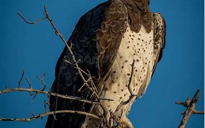 福建特产零食yu（福建特产零食有哪些）