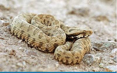 四十岁女人美甲颜色哪种好（四十岁女人美甲颜色哪种好看）