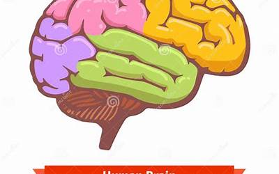 五朵金花是云南哪里人(五朵金花是云南哪里人的)