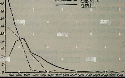 广式萝卜糕制作图片（广式萝卜糕制作图片大全）