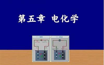 炖羊肉忌讳放什么调料（炖羊肉忌讳放什么调料好吃）