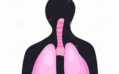 成都著名小吃街建设巷