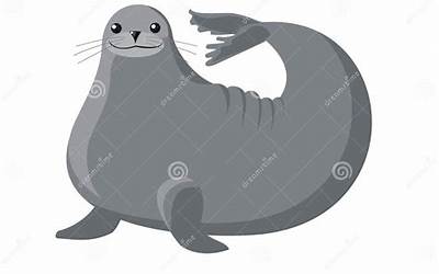 海鲜的种类及图片大全海螺（海鲜各种螺图片）