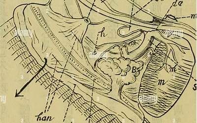 大年初一到初七的风俗顺口溜