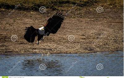 福建海鲜特产送礼（福建海鲜特产送礼送什么好）