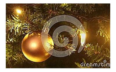 上海有哪些好玩的地方和景点（上海有哪些好玩的地方和景点免费）