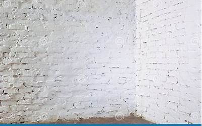 福建薄饼（福建薄饼是什么意思）