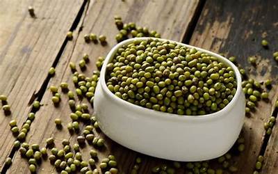 哈利波特提交心仪菜品(哈利波特提交心仪菜品给美食家)