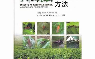 岭南建筑文化代表有哪些（岭南建筑文化代表有哪些人物）