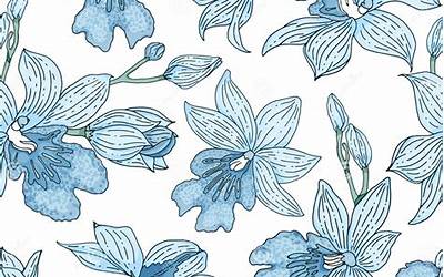 潮汕腌蟹的做法(潮汕腌蟹的做法和调料)