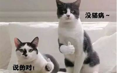 农村烧柴火的炉子视频(农村烧柴火的炉子视频大全)