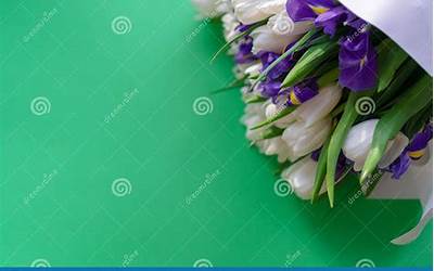 闽北菜的特色菜(闽北菜的特色菜高清图片)