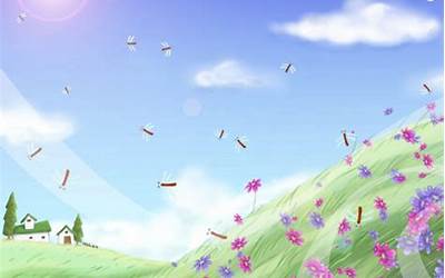 正宗鱼丸汤怎么做好吃