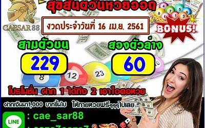 猪肉牛心菜包子的做法(猪肉牛心菜包子的做法视频)