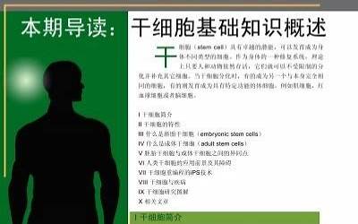 闽北建窑建盏烧制技艺的城市是哪里(闽北建窑建盏烧制技艺的城市是哪个城市)
