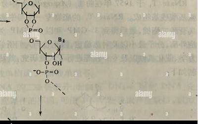 广州建筑特点和岭南特色建筑有哪些(广州建筑特点和岭南特色建筑有哪些区别)