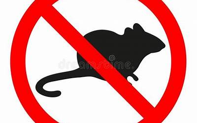 陶瓷烧制技艺非遗(陶瓷烧制技艺非遗传承人培训)