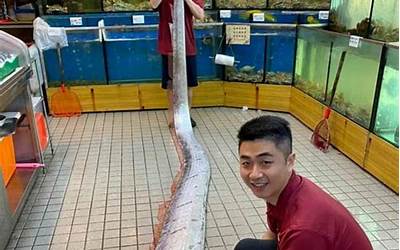 台湾歌曲经典老歌怀旧爱情