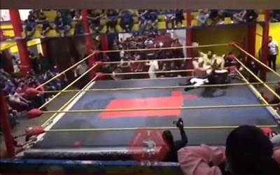 福州师范大学是211重点大学吗?