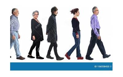 羊肉丸子豆腐白菜的做法(羊肉丸子豆腐白菜的做法大全)