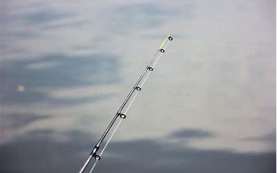 西兰花干的做法（西兰花干的做法大全）